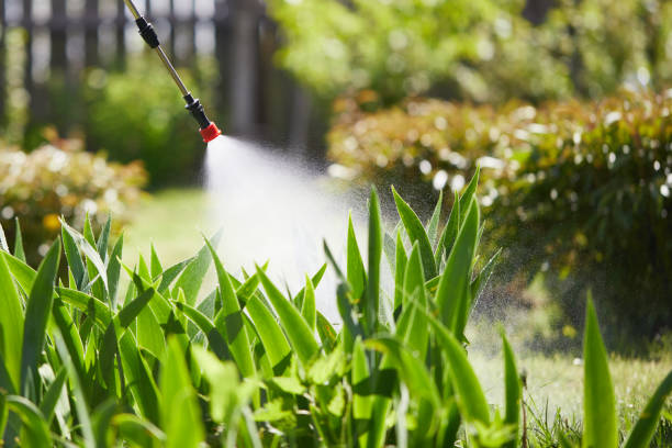 24/7 Emergency Fumigation Services experts in Boyne City, MI